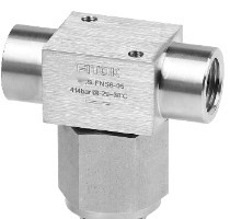 FTSS-FNS4-7 - FITOK T Filter FT Serie