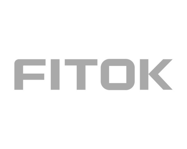GA-63-FT4-400PB - FITOK Manometer